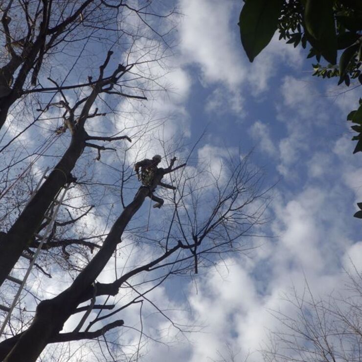 空