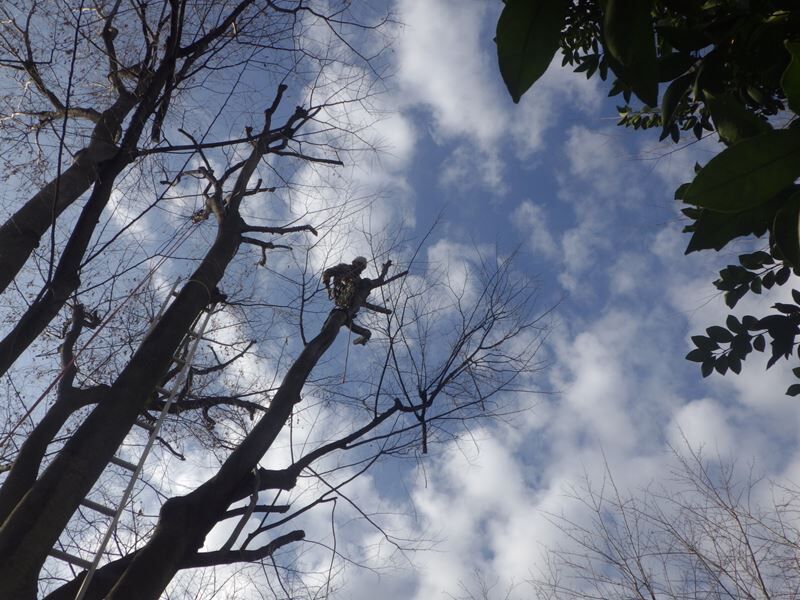 空