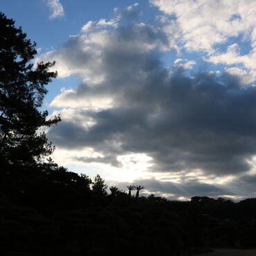 0315B961-7F11-4AB3-B69A-0E258FD7268E